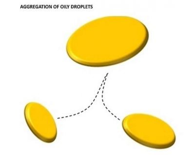 Aggregation of oily droplets