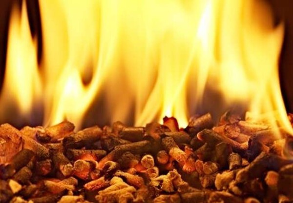 Combustione biomasse legnose